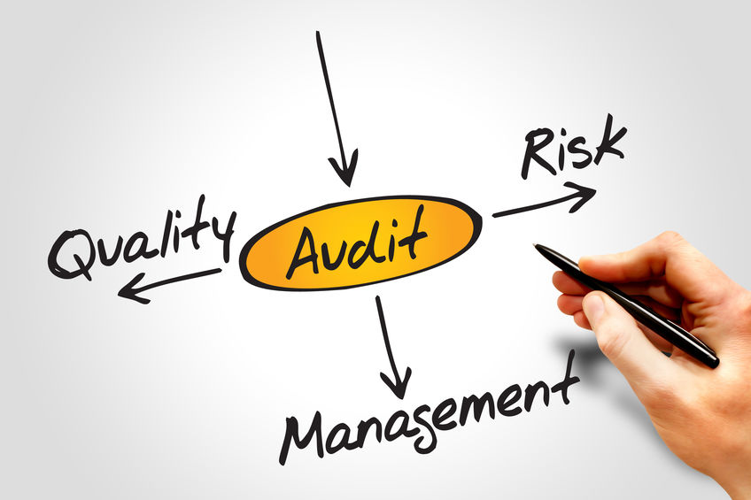 curso Formação Auditor 14001 com ISO 19011:2018 ComÊxito 